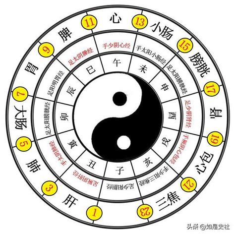 逆八卦是什麼|易經入門：太極、兩儀、四象、八卦是什麼意思？